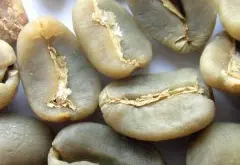 危地马拉的特硬咖啡豆颗粒饱满，美味均衡