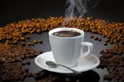 猫屎咖啡生产过程麝香猫阿拉比卡