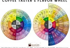 咖啡的风味轮与味谱图  咖啡基础知识  scaa精品咖啡最新风味轮