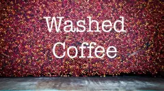 咖啡豆处理方式之水洗法，入门咖啡必懂