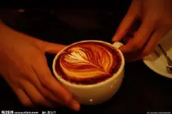 墨西哥咖啡产地风味阿尔杜马拉咖啡