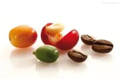 埃塞俄比亚咖啡产区 希达莫哈拉尔和耶加雪飞 明亮的酸味走红的耶
