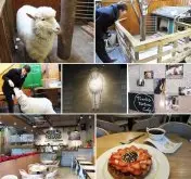 羊咖啡厅<我们结婚了>的拍摄景点韩国咖啡馆