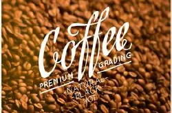 口感醇厚的多米尼加精品咖啡风味口感品质介绍