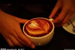 世界咖啡种类咖啡壶的种类咖啡种类及特点咖啡豆品种