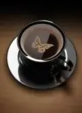 特殊的香味的麝香猫咖啡风味口感庄园产区特点精品咖啡豆猫屎咖啡