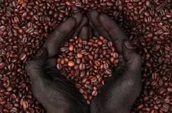 常见精品咖啡豆(单品咖啡)知识