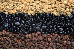 酸味丰富的玻利维亚咖啡种植环境风味口感庄园介绍