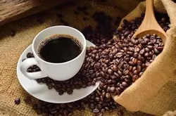 铁皮卡咖啡豆 云南铁皮卡咖啡豆品种和特点