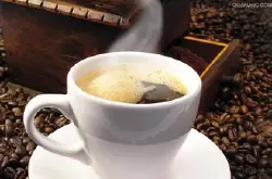 麝香猫咖啡特点麝香猫咖啡风味