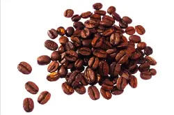 伯爵红茶感西达摩夏奇索咖啡风味、特色、口感及庄园介绍
