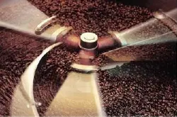 颗粒大厄瓜多尔咖啡品种特点口感庄园精品咖啡豆风味介绍