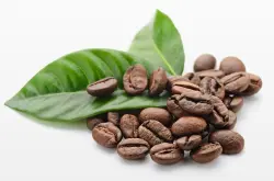 味道芳香浓郁具有极佳酸度布隆迪咖啡品种特点口感庄园精品咖啡豆