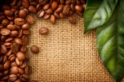 丝滑隐隐的果香味的圣多明各咖啡品种特点口感庄园精品咖啡豆风味