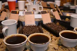 水果风味的班其玛吉咖啡品种特点口感庄园精品咖啡豆风味介绍