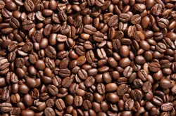 果实甜味的哥斯达尼加圣罗曼咖啡品种特点口感庄园精品咖啡豆风味