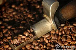 伯爵红茶口感香气的西达摩夏奇索咖啡品种特点口感庄园精品咖啡豆