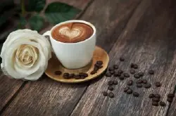 丘比特咖啡介绍丘比特咖啡风味丘比特咖啡特色花香、白葡萄，焦糖