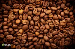 红茶伯爵口感香气的西达摩夏奇索咖啡品种特点口感庄园精品咖啡豆