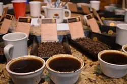 气味香醇印尼曼特宁咖啡品种口感特点庄园精品咖啡豆风味介绍