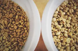 韵味独特乌干达咖啡品种口感特点庄园精品咖啡豆风味介绍