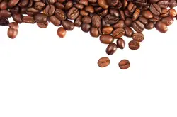 三剑客咖啡乞力马扎罗咖啡品种口感特点庄园精品咖啡豆风味介绍