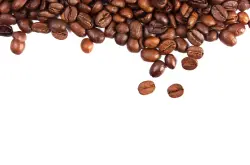 略含芳醇炭烧味中危地马拉咖啡品种口感特点庄园精品咖啡豆风味