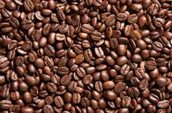三剑客咖啡豆的乞力马扎罗咖啡品种口感特点庄园精品咖啡豆风味介