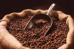 大颗粒的厄瓜多尔咖啡品种口感特点庄园精品咖啡豆风味介绍