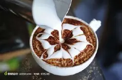 强硬有力的果酸的肯尼亚锦初谷咖啡庄园产区特点风味口感介绍