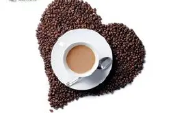 整体味道苦味重的铁皮卡咖啡风味描述庄园产区特点品种介绍