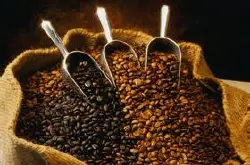 全球十大极品咖啡