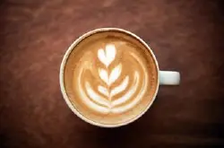 咖啡属于有什么植物-咖啡渣适合种什么植物