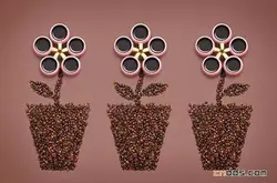 日晒西达摩红樱桃计划咖啡豆的特点风味描述处理法介绍