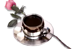 翡翠庄园瑰夏咖啡价格风味描述处理法产地区品种介绍
