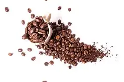 为什么会有咖啡因味道--精品豆