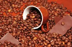 萨尔瓦多帕卡马拉咖啡风味描述研磨刻度品种庄园介绍