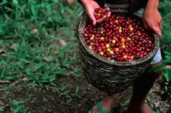 汕尾惊现 20多万条假雀巢咖啡产于“黑窝点”