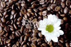精品烘焙咖啡豆的步骤技术程度意式浓缩咖啡介绍