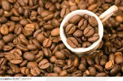 秘鲁咖啡豆的风味描述品种产地区研磨刻度处理法介绍
