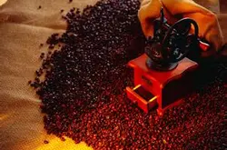 香而不烈的云南小粒咖啡花果山风味描述研磨刻度品种产地区介绍