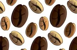 熟咖啡豆的保质期可以存放多少天产地区介绍