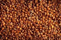 云南铁皮卡咖啡风味描述产地区研磨刻度处理法品种介绍