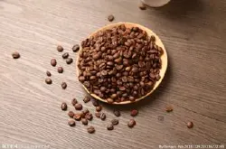 刚种出来的咖啡豆是什么样的?提取物是什么