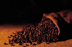 咖啡豆水洗法的图步骤口感风味描述产地区品种特点介绍
