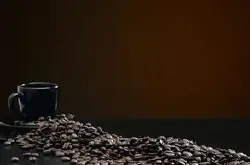 浓郁爽口的坦桑尼亚咖啡豆的研磨刻度产地区处理法品种介绍