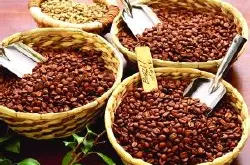 牙买加克利夫顿庄园里面种的是什么品种的咖啡