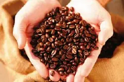 埃塞俄比亚西达摩夏奇索产区咖啡豆的风味描述口感品种介绍