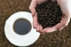 哥伦比亚咖啡豆都是种植在安第斯山吗?品牌口感特点风味描述介绍
