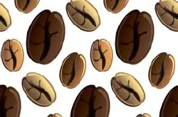 巴西黄波旁咖啡豆风味描述品种产地区处理法口感研磨刻度介绍